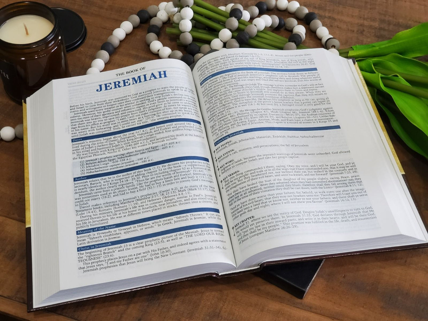 Remnant Study Bible KJV (Hardcover)
