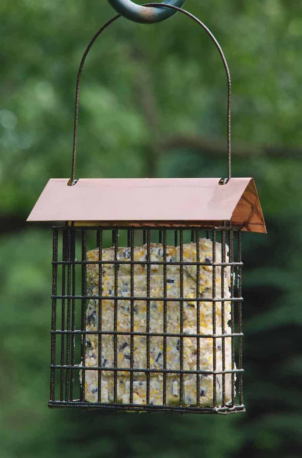 Woodlink Coppertop Single Suet Cage Model COPSUET