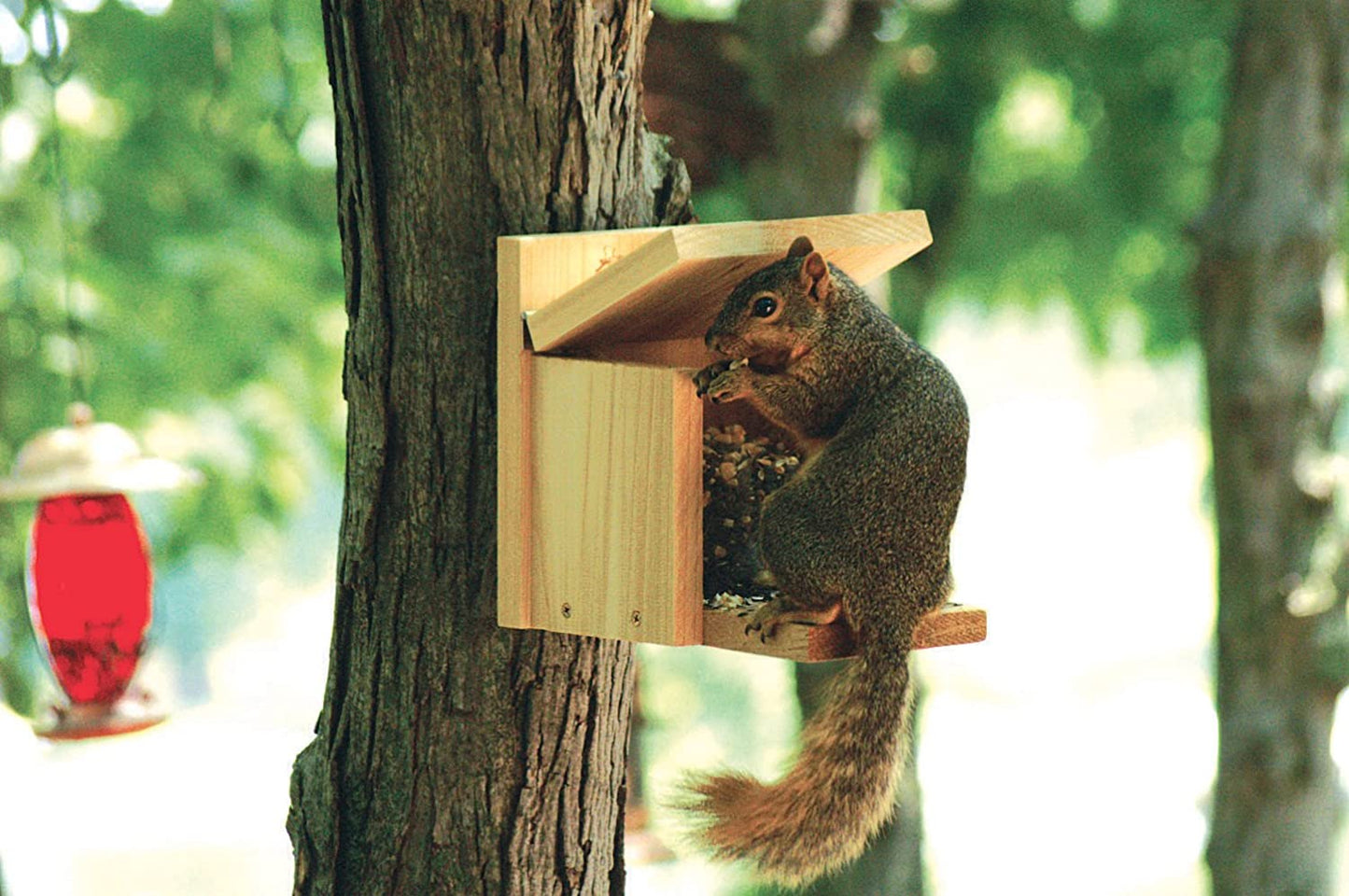 Woodlink NASQBOX Audubon Squirrel Munch Box Feeder
