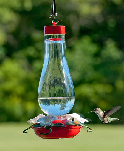 Audubon Glass Hummingbird Feeder, 24-Ounce